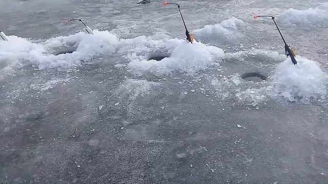 Рыбалка. Корюшка. Финский залив 18.02.2017 смотреть онлайн