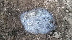 Астильба. ПОСЛЕ этого АСТИЛЬБА СТАНЕТ УКРАШЕНИЕМ ВАШЕГО САДА!/ Уход,посадка,размножение астильбы.