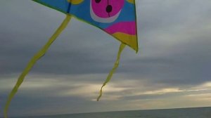 Для детей #5 Учимся запускать воздушного змея.