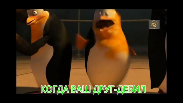 КОГДА ВАШ ДРУГ-ДЕБИЛ смотреть онлайн
