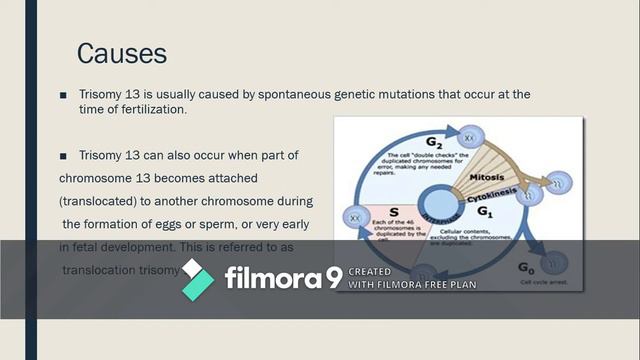 Trisomy 13 смотреть онлайн
