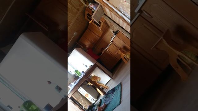 Дача она такая, муж чуть не прибыл жену)))) смотреть онлайн