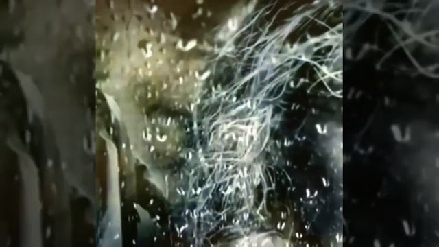 Я не пишу тебе... | Автор Зоя Кондратьева смотреть онлайн