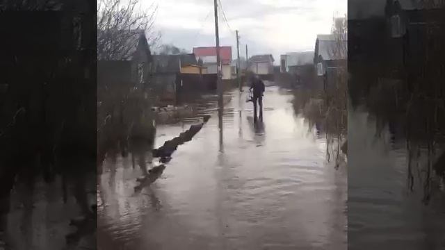 В Ногинске 19 апреля 2018г. затапливает дачные участки в СНТ СИРЕНЬ смотреть онлайн