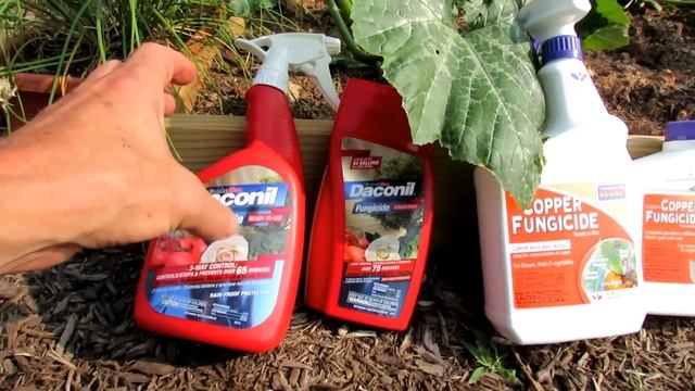 4 Common Mistakes Made When Managing Fungal Diseases in the Garden: Overview of 6 Basic Fungicides смотреть онлайн