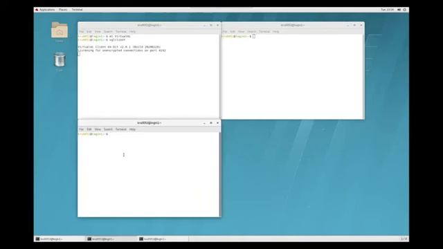 VirtualGL Visualisation