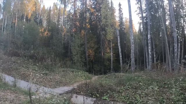 Не удачная поездка на охоту.Первая лицензия закрыта на лося. смотреть онлайн