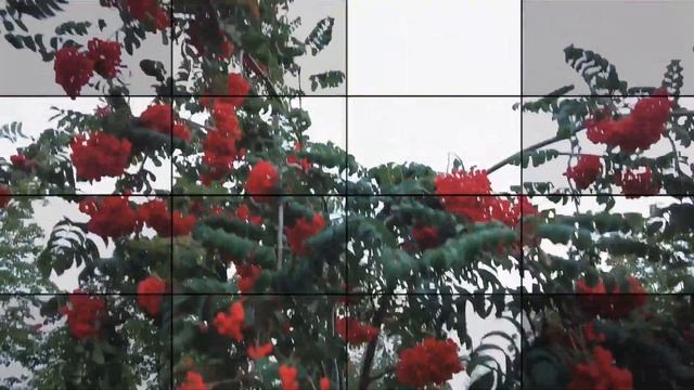 Москва в День города’874 смотреть онлайн