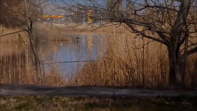 Анапа. Прогулка 8 декабря 2014 года. Река Анапка, Детский парк.