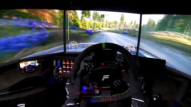 WRC8 Horkka Finland Volkswagen Polo R5 смотреть онлайн