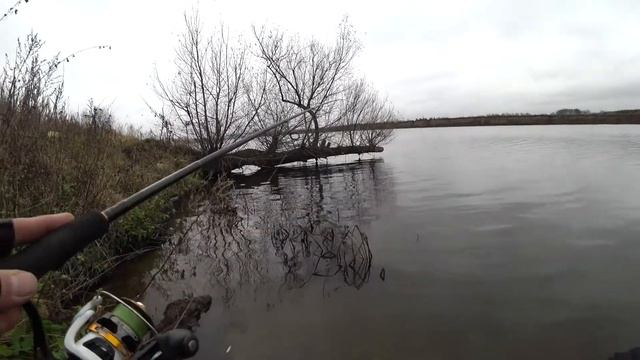 рыбалка на Москве реке. смотреть онлайн