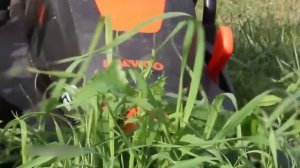 Бордюрная лента на садовом участке. Толстая, долговечная, не рубится триммером