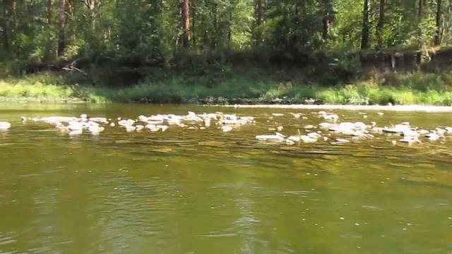 Сплавляюсь по реке Ай смотреть онлайн