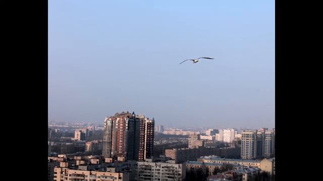 Питер с высоты птичьего полета / St.Petersburg: a bird's-eye view of the Moscow District смотреть онлайн