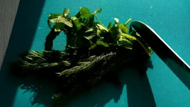 Суп из семги