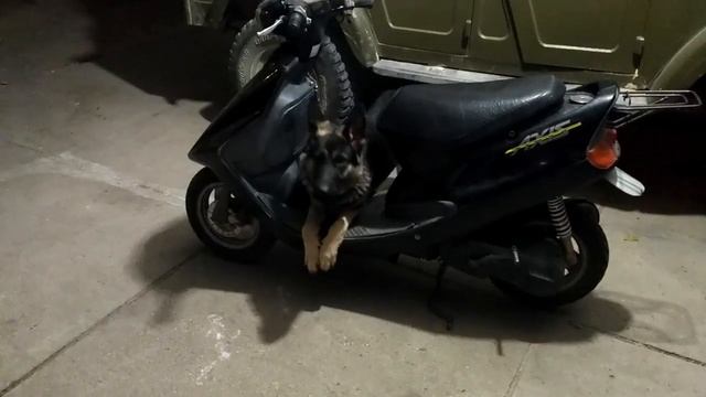 Гретта охраняет скутер смотреть онлайн