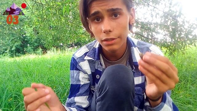 Редкая-ОСТРОМОРДАЯ лягушка!!! смотреть онлайн