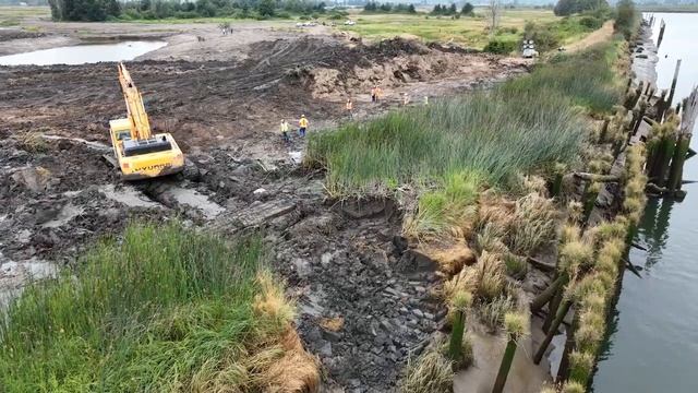 Blue Heron Slough Restoration Unveiling смотреть онлайн