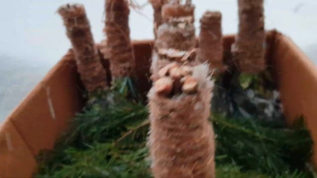 Березовые, Осиновые, Дубовые и Пихтовые банные веники. смотреть онлайн