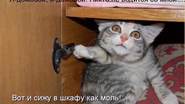 Домовой. Приметы.