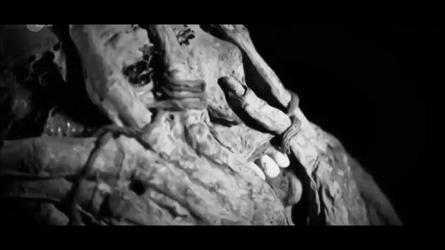 STEFFI STUBER feat Maggesson - TOTES LEBEN (Lyrics) смотреть онлайн