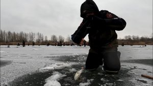 Такого точно не ожидали! Бешеный клев судака. Зимняя рыбалка на Дону. Ловля на мормышку и балансир.
