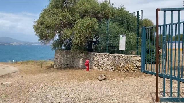 ФРАНЦИЯ (France) | Сен-Тропе, Ницца, Канны и не только. смотреть онлайн