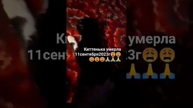 ДУША В КЛОЧЬЯ!!! БЕГИ ПО РАДУГЕ МОЯ КИТТЕНЬКА! МЯГКИХ И ПУШИСТЫХ ОБЛАЧКОВ ТЕБЕ! 🙏🙏🙏🙏😩😩😩😩 смотреть онлайн