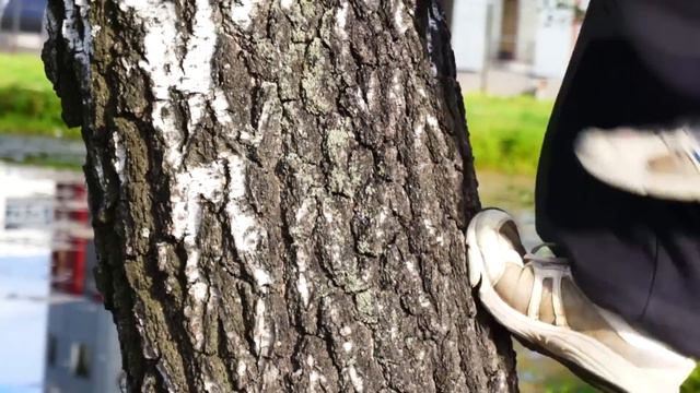 Еще один день в малыше смотреть онлайн