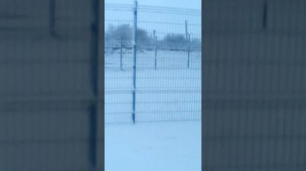 регион 134 rus