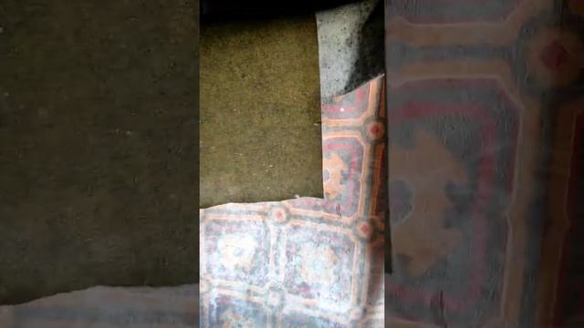 "СПАСАЙ ВЗЯТЫХ НА СМЕРТЬ, И НЕУЖЕЛИ ОТКАЖЕШЬСЯ ОТ ОБРЕЧЕННЫХ НА УБИЕНИЕ?" (БИБЛИЯ) смотреть онлайн
