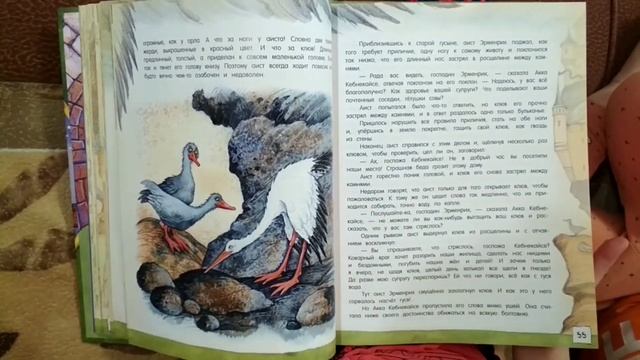 Видеообзор. Чудесное путешествие Нильса с дикими гусями. Сельма Лагерлёф смотреть онлайн