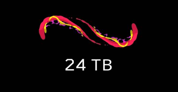 Петровка 38 выпуск от 12  мая 2021 года.mp4