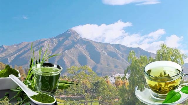 Диагностика организма У-син Человек смотреть онлайн