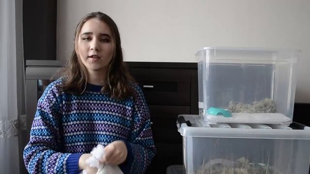 СОДЕРЖАНИЕ УЛИТОК НА МАТАХ / как сшить маты для улиток смотреть онлайн