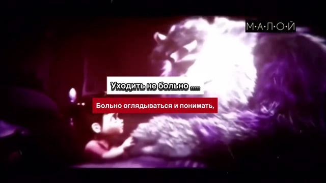Киса должен уйти...🥀 смотреть онлайн