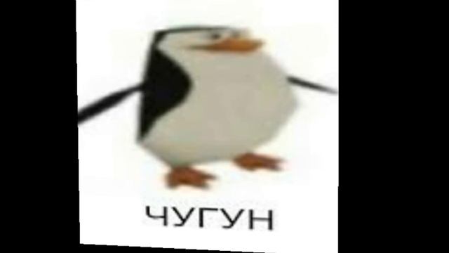 polish penguin смотреть онлайн