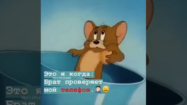 Когда брат проверяет телефон /😂 смотреть онлайн