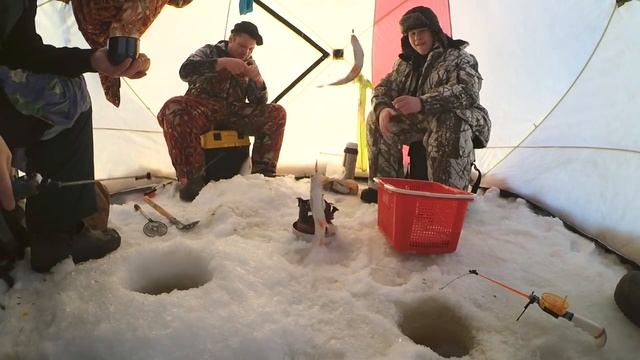 Рыбалка по ВЗРОСЛОМУ! Рыбалка на севере Стофети и компания 2018 смотреть онлайн