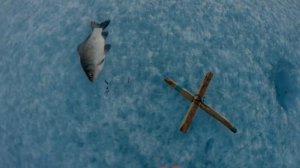 "Крупный карась на кресты." Фыркал. 01-02.04.2019.