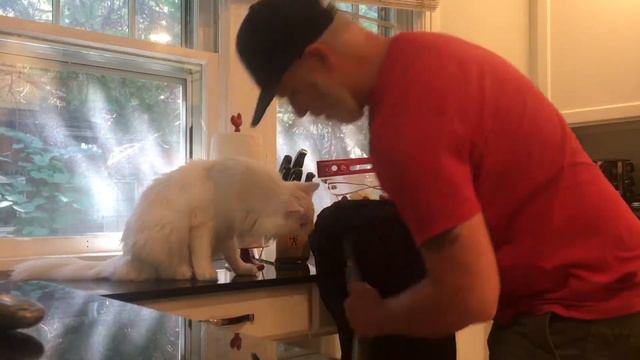 Eastwood 4/6 Doubleneck Bass + Guitar Left Handed Lefty Telestar Copy Unboxing смотреть онлайн