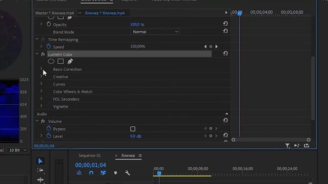 Как сделать видео Черно Белым в Adobe Premier Pro ? смотреть онлайн