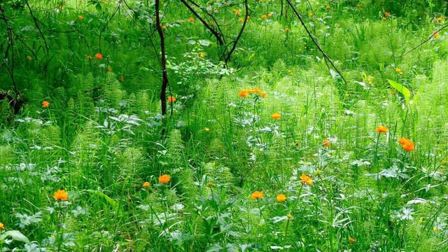 748. ♫. "Two With The Same Soul ",( Двое с одной душой)- Yuhki Kuramoto смотреть онлайн