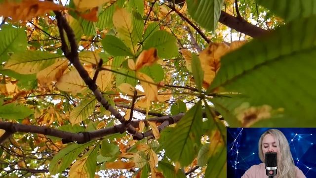 Вернувшись в свой город, Лиза устроилась в такси. Но когда к ней в машину подсел муж с любовницей.. смотреть онлайн