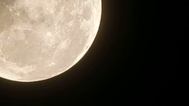 Teste de zoon da câmera Nikon Coolpix S9900 смотреть онлайн