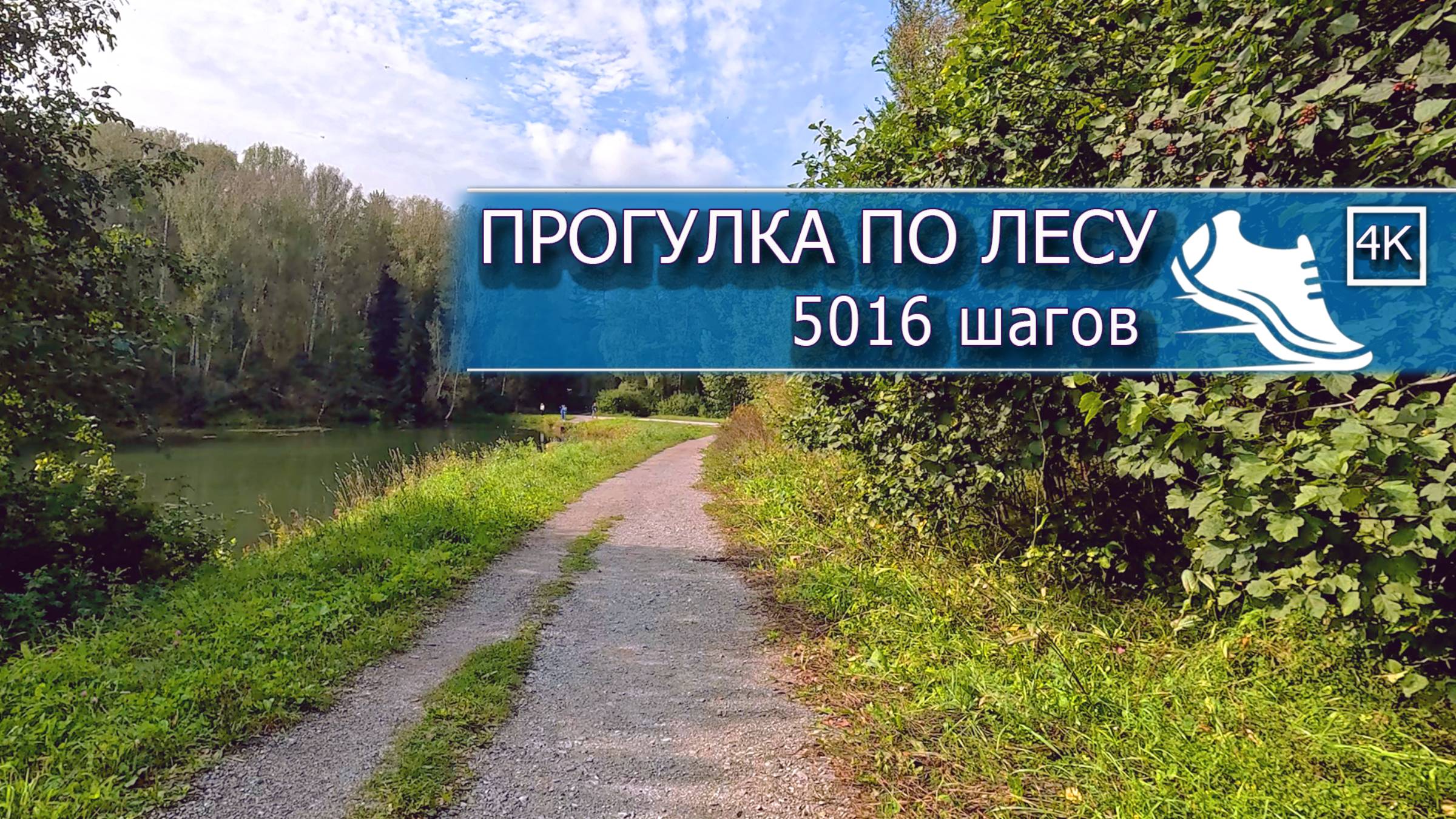Ботанический сад. 5016 шагов. Новосибирск. Прогулка смотреть онлайн