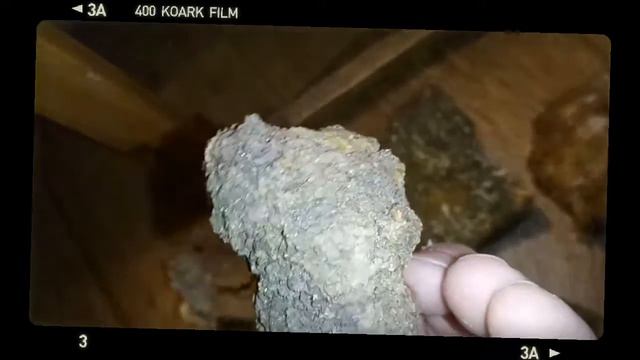 Ископаемое дерево. 《Импактный лес》.（Уникальное видео.） смотреть онлайн