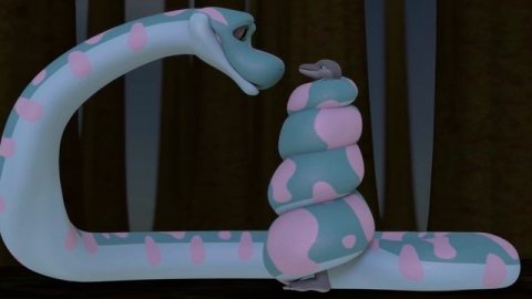 Snake Hypnotizes Dolphin!