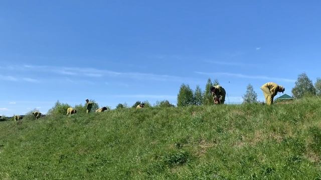 Лето??☘️ Моя собака? смотреть онлайн