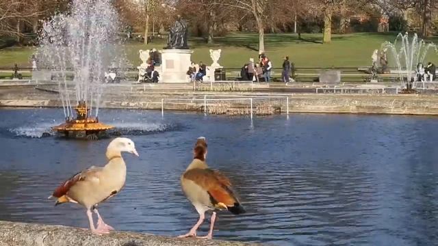 Hyde Park - The Largest Park In The Heart of London|Walk Trough London смотреть онлайн